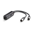 Audinate Dante AVIO Adaptador de salida analógica XLR de 2 canales para red de audio Dante