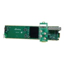 Encoder/Decoder BirdDog openGear 4-Channel NDI