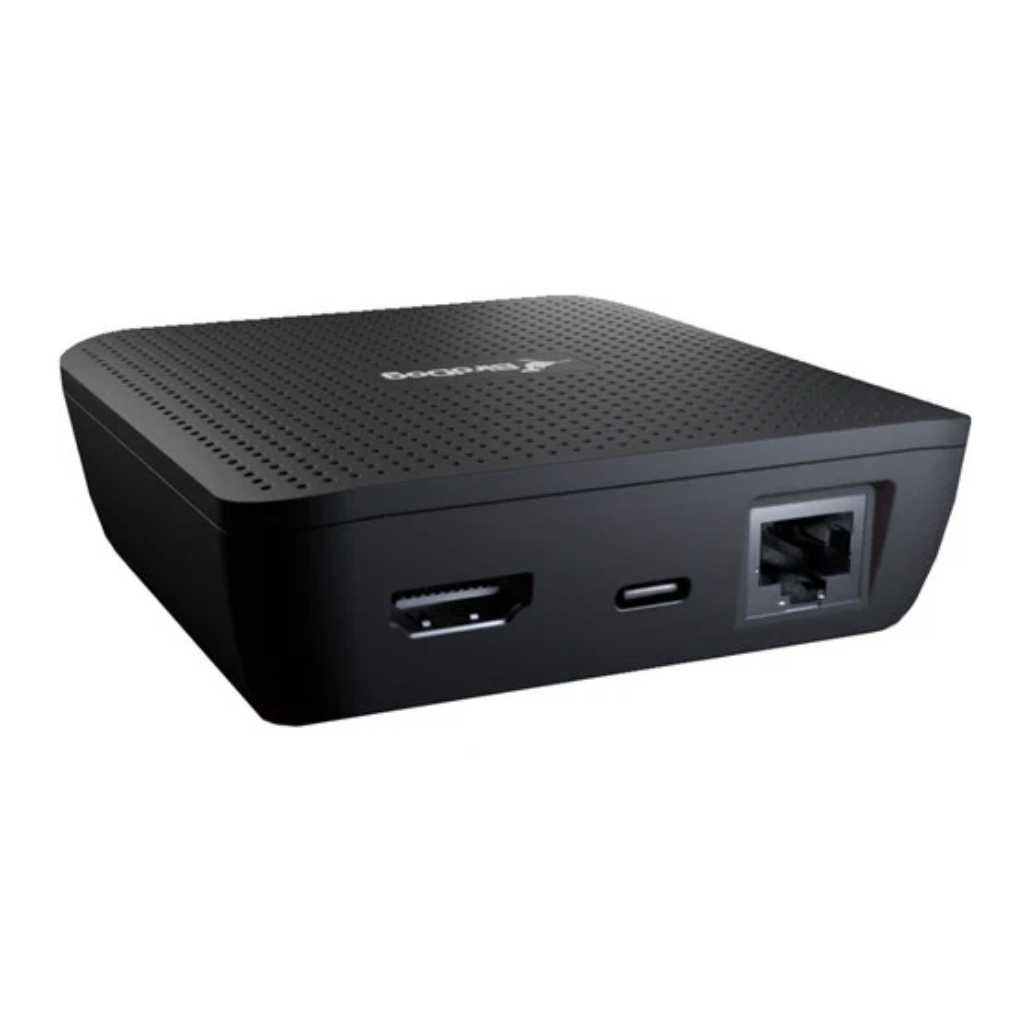 Decoder para carteleria Birddog PLAY 4K NDI Player BirdDog