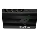 Encoder/Decoder  4K Quad NDI BirdDog