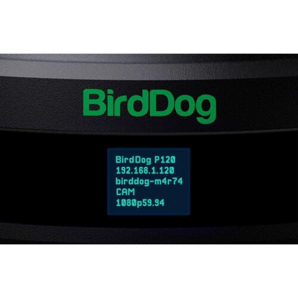 Cámara BirdDog Eyes P120 1080p Full NDI PTZ (Blanco)