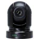 Camara PZT  P200 1080p Full NDI PTZ Camera (Black) BirdDog