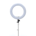 Anillo de luz ikan Oryon de 18" (versión 2) con soporte para teléfono, control remoto y soporte de luz