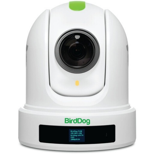 [BDP120W] Cámara BirdDog Eyes P120 1080p Full NDI PTZ (Blanco)