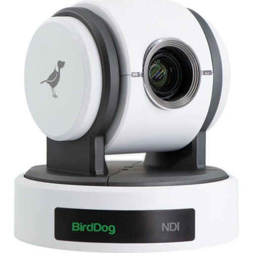 [BDP100W] Cámara Eyes P100 1080p Full NDI PTZ Camera (White) BirdDog